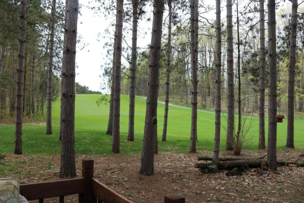 Crystal Mountain Cabin-Shuttle Pass Included! Thompsonville Luaran gambar